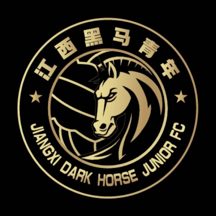  官方：江西黑馬青年完成異地遷移程序，更名為溫州職業(yè)足球俱樂部
